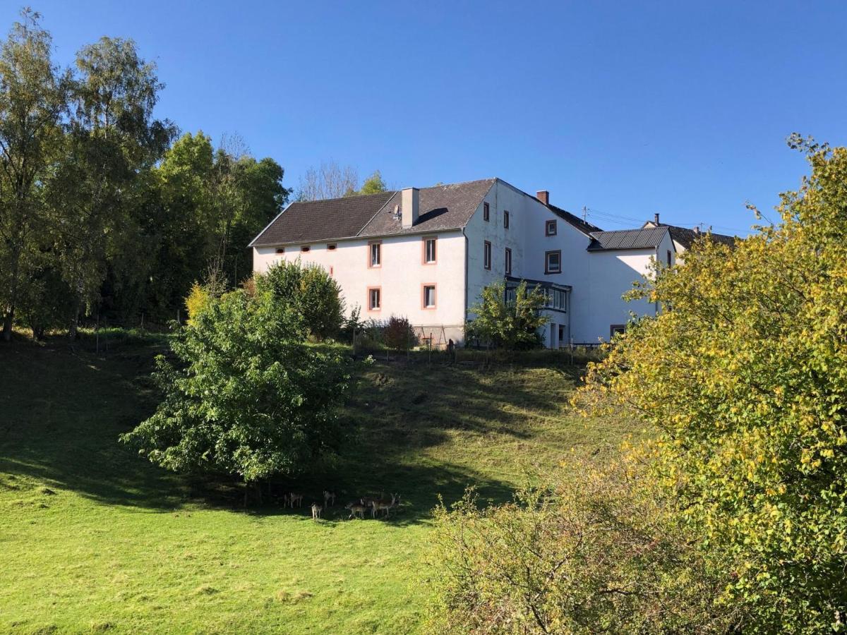 Ferienhaus Rehblick Rockeskyll Bagian luar foto