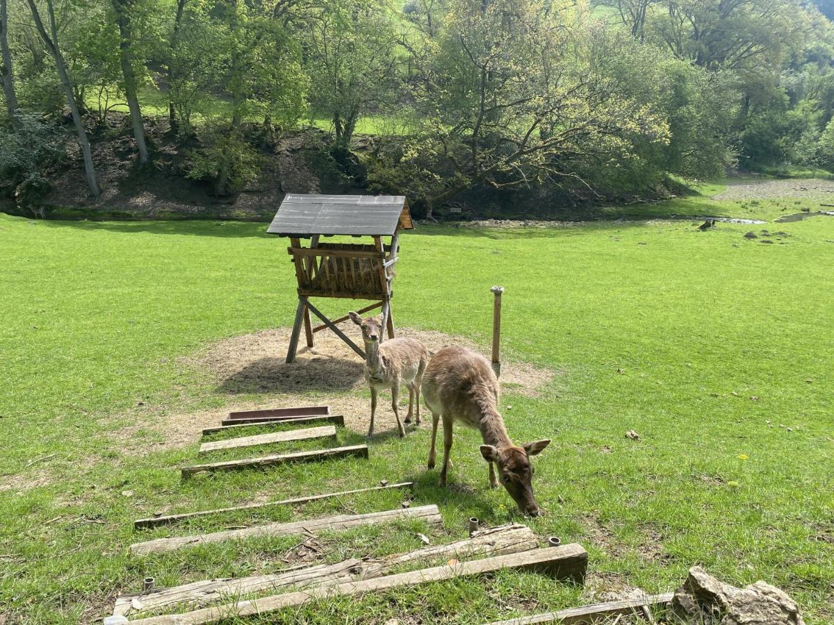 Ferienhaus Rehblick Rockeskyll Bagian luar foto